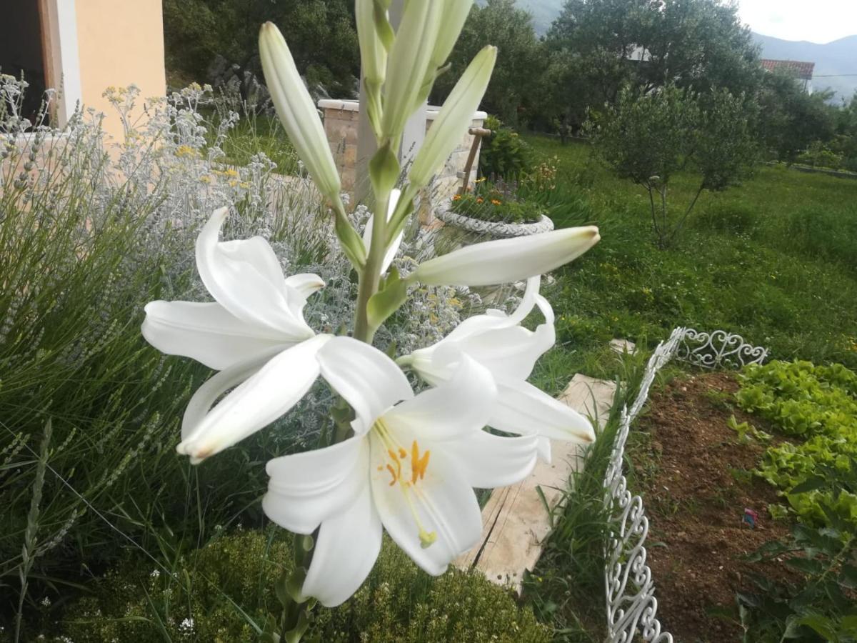 Castello Flower Apartment Kastela Dış mekan fotoğraf