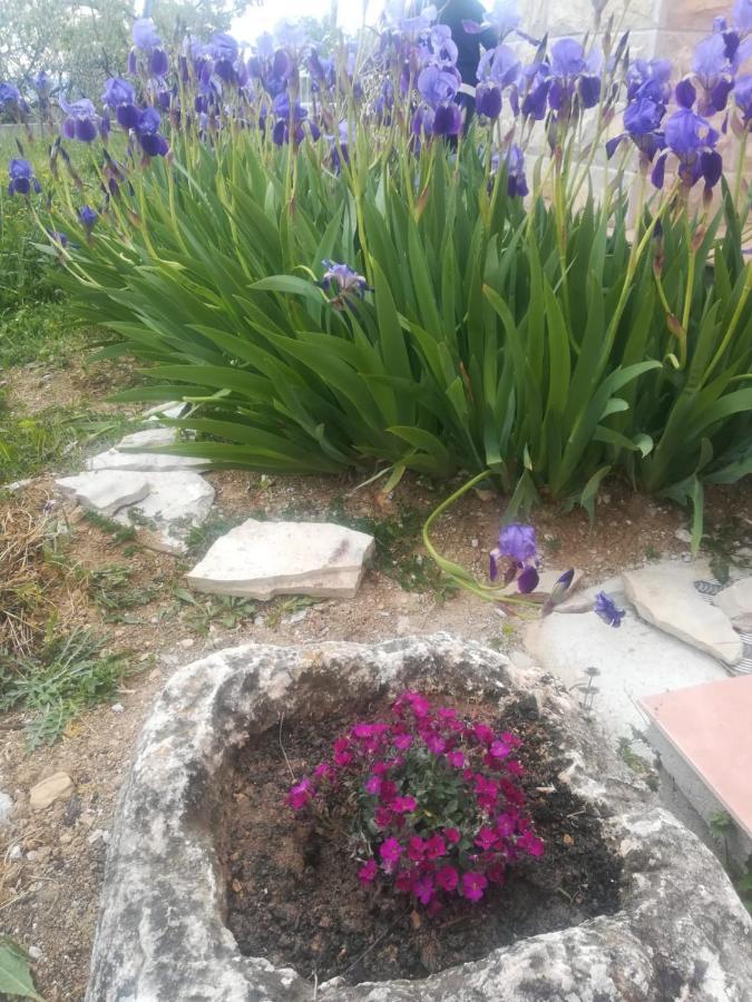 Castello Flower Apartment Kastela Dış mekan fotoğraf